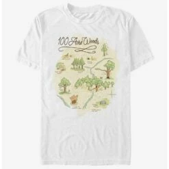 Wholesale ⭐ Disney Winnie The Pooh 100 Acre Map T-Shirt 🌟