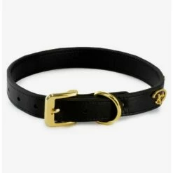 Deals 🎁 Disney Logo 🐕 Dog Collar ⭐