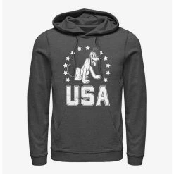 Coupon 👏 Disney Pluto Usa Hoodie 🤩