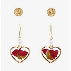 Wholesale ⭐ Disney Beauty And The Beast Dried Rose Earring Set 🌟